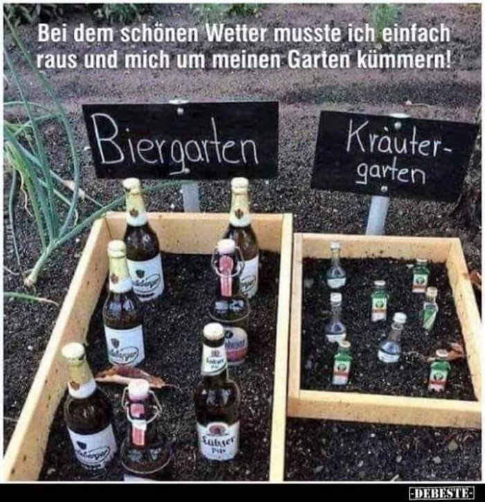 Pflanzgarten.jpg