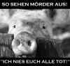 schweinegrippe2.png