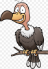 png-transparent-vulture-miscellaneous-photography-chicken-thumbnail.png