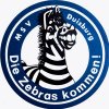 MSV-Duisburg.jpg